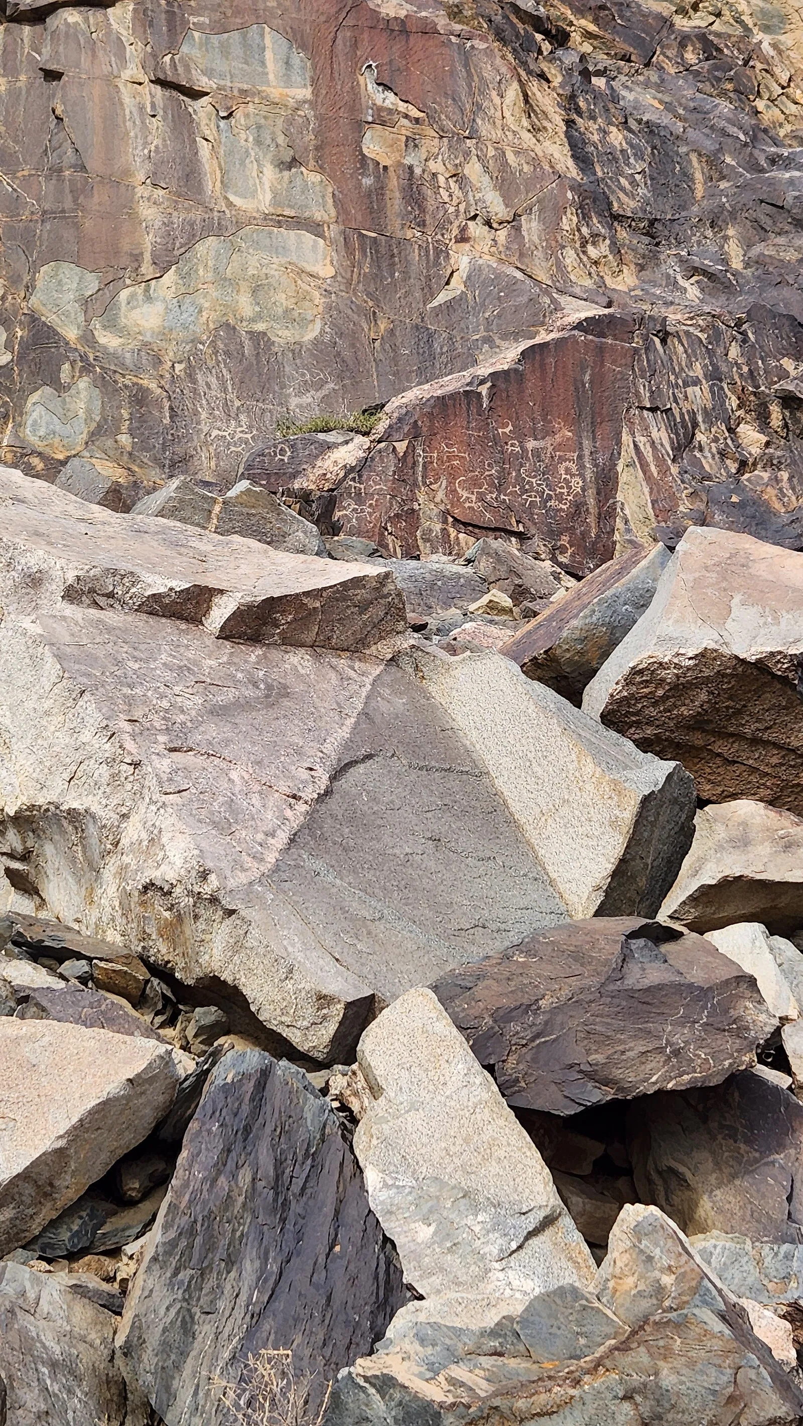 Khoit Tsenkher Cave Rock Art